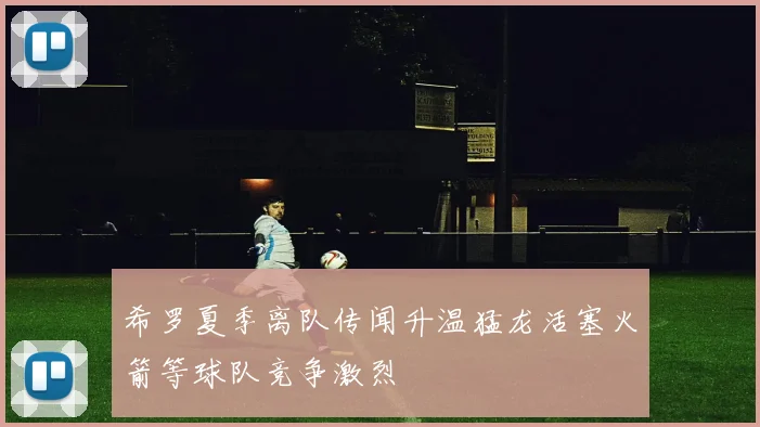 希罗夏季离队传闻升温猛龙活塞火箭等球队竞争激烈