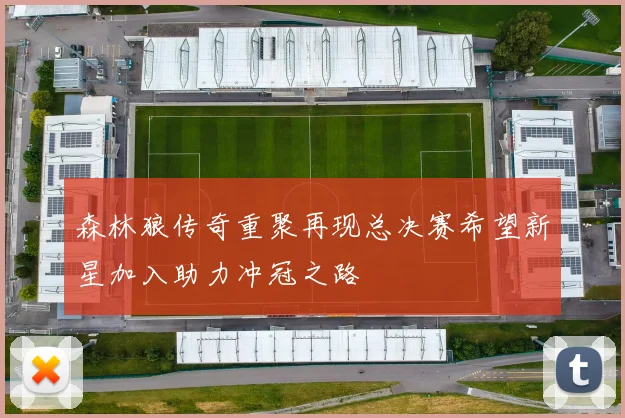 森林狼传奇重聚再现总决赛希望新星加入助力冲冠之路