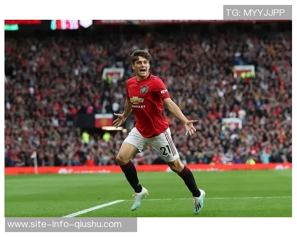 谢尔本赛季每74分钟参与1球成五大联赛最高效率球员